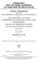 Cybersecurity : what the federal government can learn from the private sector 1546856943 Book Cover