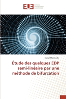 Étude des quelques EDP semi-linéaire par une méthode de bifurcation 620342708X Book Cover