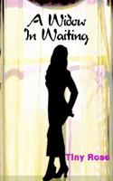 A Widow in Waiting 1418424579 Book Cover