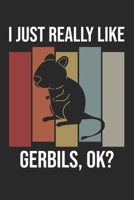 I Just Really Like Gerbils, OK?: DIN A5 Wüstenrennmaus Notizheft kariert | 120 Seiten kariertes Wüstenrennmaus Notizbuch für Notizen in Schule, ... | Eine tolles Geschenk für Ihre Liebsten. 1672190975 Book Cover