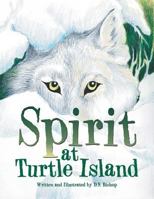 Spirit at Turtle Island 1524621595 Book Cover