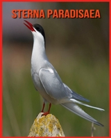 Sterna Paradisaea: Sterna Paradisaea Affascinanti Fatti per i bambini con immagini mozzafiato! B08WJZC7CL Book Cover