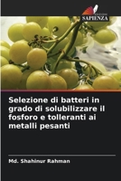 Selezione di batteri in grado di solubilizzare il fosforo e tolleranti ai metalli pesanti (Italian Edition) 6209903959 Book Cover