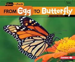 From Egg to Butterfly (Start to Finish) 0822506661 Book Cover