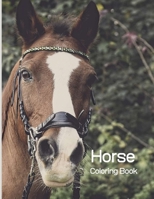 Horse Coloring Book: Coloring Toy Gifts for Toddlers, Kids Ages 4-8, Girls 4-8, 8-12 or Adult Relaxation Cute Easy and Relaxing Realistic Large Print Birthday Gifts 1704133343 Book Cover
