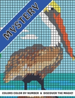 Mystery Colors Color by number & discover The Magic!: Extreme Creative Coloring Challenges to Complete Mystery Animals Color By Number Stress Relieving B08XS8TFQV Book Cover