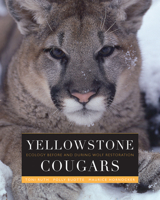 Yellowstone Cougars: Ecology before and during Wolf Restoration 1607328283 Book Cover