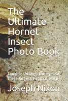 The Ultimate Hornet Insect Photo Book: Looking through the eyes of these largest eusocial wasps 1679736248 Book Cover