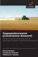 Zagospodarowanie przestrzenne Amazonii (Polish Edition) 6208491118 Book Cover
