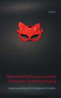 Sklavenerziehung in einer Femdom-Fernbeziehung: Ideensammlung f?r Aufgaben & Strafen 3753422495 Book Cover