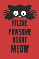 Feline Pawsome Right Meow: Blank Line Notebook Journal For All Cat Lovers 1679829181 Book Cover