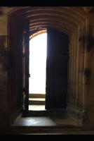 Mind 1096984733 Book Cover