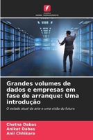 Grandes volumes de dados e empresas em fase de arranque: Uma introdução (Portuguese Edition) 6207140958 Book Cover