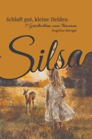 Schlaft gut kleine Helden - Sieben Geschichten zum Träumen - Gute Nacht Geschichten zum Einschlafen: Vorlesebuch für Kinder ab 4 Jahren (German Edition) 3384288408 Book Cover