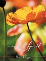 A Structure for Spirit: How to Create a Daily Practice 1452533938 Book Cover