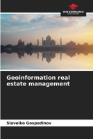 Geoinformation real estate management B0CLMP3T1R Book Cover