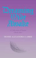 Dreaming Wide Awake 152550522X Book Cover