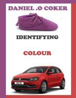 Identifying Colour 1546562192 Book Cover