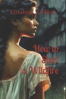 How to Start a Wildfire B0DR7YWN85 Book Cover