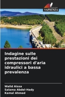Indagine sulle prestazioni dei compressori d'aria idraulici a bassa prevalenza (Italian Edition) 6209654401 Book Cover