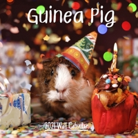 Guinea Pig 2021 Wall calendar: Cute Guinea Pig 2021 Wall Calendar, 18 Months 8.5x8.5 in - wall calendar. B08T3ZPPQ6 Book Cover