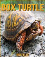 Box Turtle: Children Book of Fun Facts & Amazing Photos on Animals in Nature - A Box Turtle Book for Kids aged 3-7 1530988306 Book Cover
