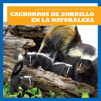 Cachorros de Zorrillo En La Naturaleza (Skunk Kits in the Wild) B0BY1JCJXG Book Cover