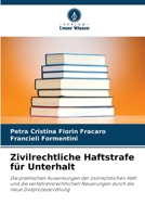 Zivilrechtliche Haftstrafe für Unterhalt 6207272447 Book Cover