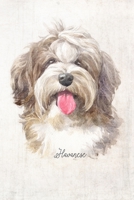 Havanese Dog Portrait Notebook: Blank Lined Journal for Dog Lovers, Dog Mom, Dog Dad and Pet Owners | 6x9 with College Ruled Pages (Watercolor Dog Lined Journals) 1707626618 Book Cover