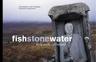 Fish Stone Water 0953535312 Book Cover