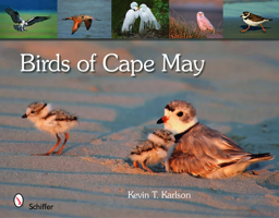 Birds of Cape May 0764335340 Book Cover
