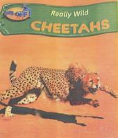 Take-off! Really Wild: Cheetah 0431029091 Book Cover
