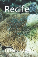 Recife (O Surfer João) (Portuguese Edition) B0DJPFBDRQ Book Cover