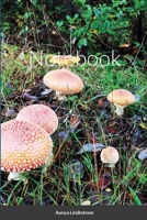 Notebook 1678136271 Book Cover
