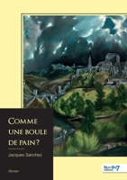 Comme une boule de pain ? (French Edition) B0GX54NDVV Book Cover