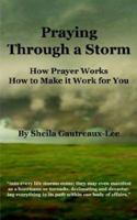 Praying Through a Storm 1410792293 Book Cover