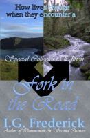 Fork in the Road 1937471209 Book Cover