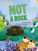 Not a Rock 1039800629 Book Cover