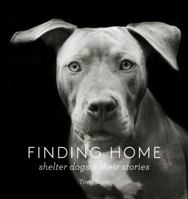 Finding Home: Shelter Dogs and Their Stories 1616893435 Book Cover