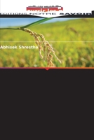 Nutrient Expert: Un outil pour nourrir les plantes 6205806851 Book Cover