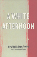 White Afternoon & Other Stories: New Welsh Short Fiction 190263800X Book Cover