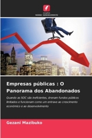 Empresas públicas: O Panorama dos Abandonados 6206637840 Book Cover