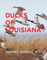 DUCKS OF LOUISIANA B0BW2GDMR7 Book Cover