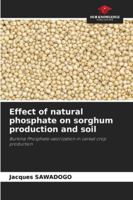 Effect of natural phosphate on sorghum production and soil: Burkina Phosphate valorization in cereal crop production 6208901871 Book Cover