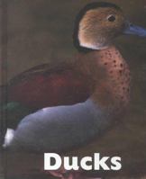 Ducks 1567663761 Book Cover