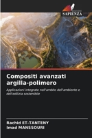 Compositi avanzati argilla-polimero (Italian Edition) 6630207610 Book Cover