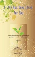 A Life Has Been Lived for You 1475116691 Book Cover