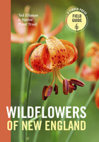 Wildflowers of New England: Timber Press Field Guide 1604694645 Book Cover