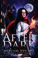 AfterDark 1088096468 Book Cover