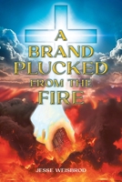 A Brand Plucked From The Fire B0DPXW3JFL Book Cover